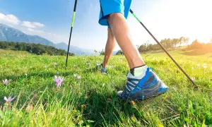 Un marcheur débute sa randonnée en pleine nature, profitant d'un paysage verdoyant et fleuri.