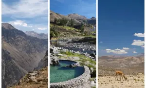 Trois vues du canyon de Colca : falaises vertigineuses, sources chaudes et un lama dans un paysage aride.