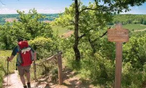 Randonnées Tarn et Garonne : un marcheur avec un sac à dos rouge monte un sentier boisé, dominant un paysage verdoyant. Panneau indicateur de Lauzerte.