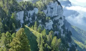 Sentier de rando en montagne, falaises calcaires abruptes et sapins verdoyants. Un paysage grandiose pour une belle rando.