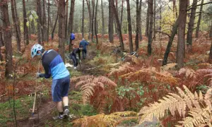 Des bénévoles en pleine action pour l'entretien d'un sentier de randonnée à Fontainebleau. Des vélos sont garés à proximité.