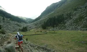 Un coureur prépare son plan entrainement trail 50 km dans une vallée montagneuse, traversant un sentier rocailleux avec des vaches en pâturage.