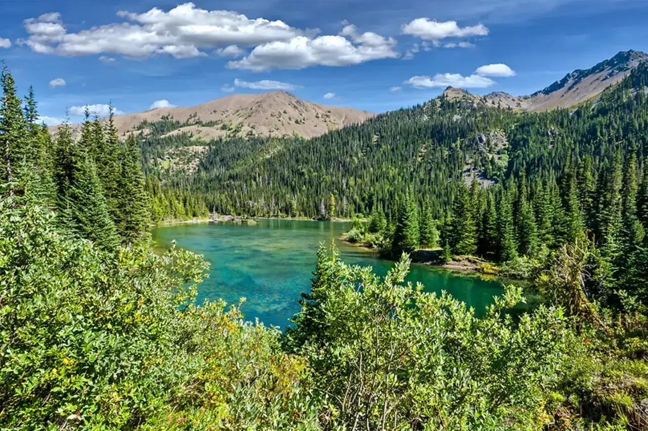 Lac émeraude bordé de pins dans le parc national Olympic, avec des montagnes en arrière-plan sous un ciel bleu et nuageux.