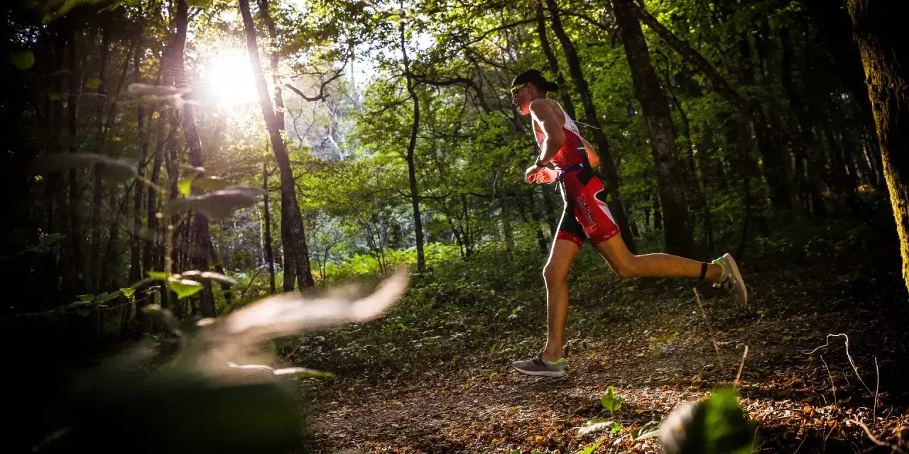 Un coureur en tenue de sport traverse un sentier forestier ensoleill&eacute;, participant &agrave; un course &agrave; Bourg-en-Bresse.