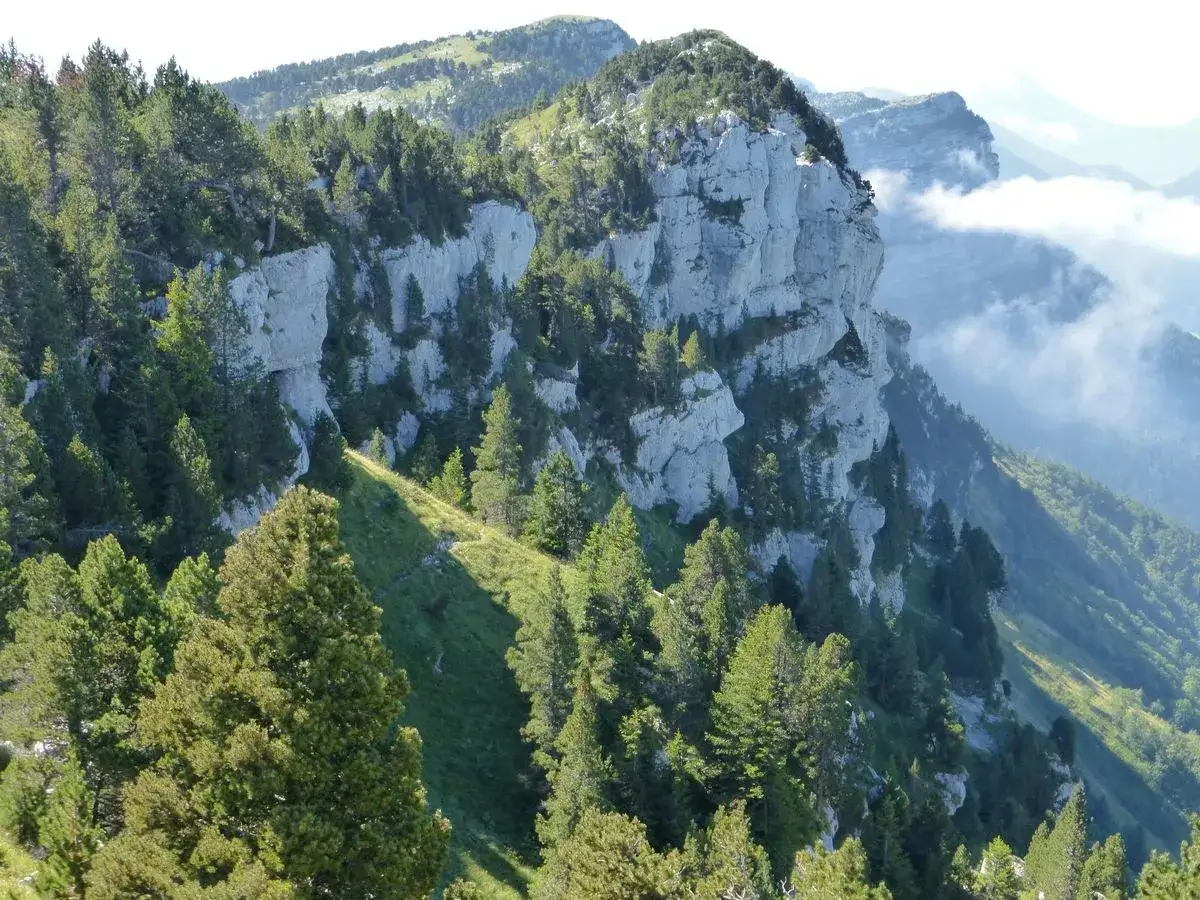 Sentier de rando en montagne, falaises calcaires abruptes, pins verts et herbe luxuriante. Un paysage grandiose.