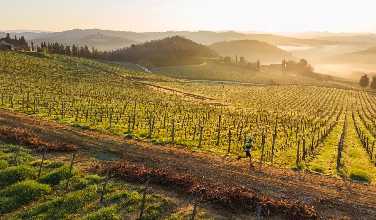 Un coureur traverse un vignoble au lever du soleil, dans le cadre d'une course de type Chianti by UTMB. Les collines toscanes brumeuses en arri&egrave;re-plan ajoutent &agrave; la beaut&eacute; du paysage.