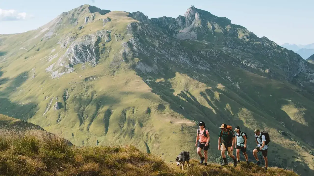 Quatre randonneurs et un chien traversent une montagne verdoyante, profitant d'une randonn&eacute;e de 3 jours sous un ciel bleu.