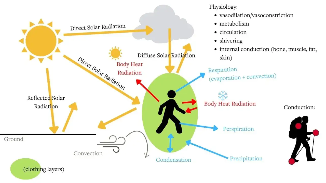 Schéma expliquant les échanges thermiques du corps humain, incluant le soleil, la convection, la transpiration et la conduction. Une veste 3 couches est représentée.
