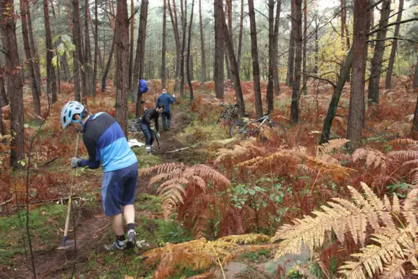Des bénévoles en pleine action pour l'entretien d'un sentier de randonnée à Fontainebleau. Des vélos sont garés à proximité.